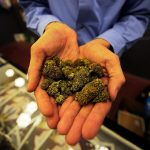 Discovering the Best Weed Dispensary in Wyoming